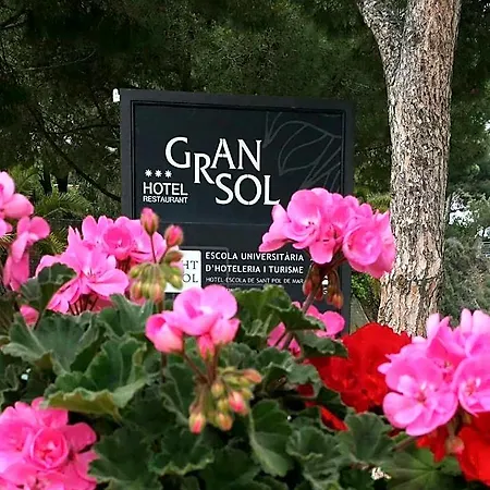 Hotel Gran Sol